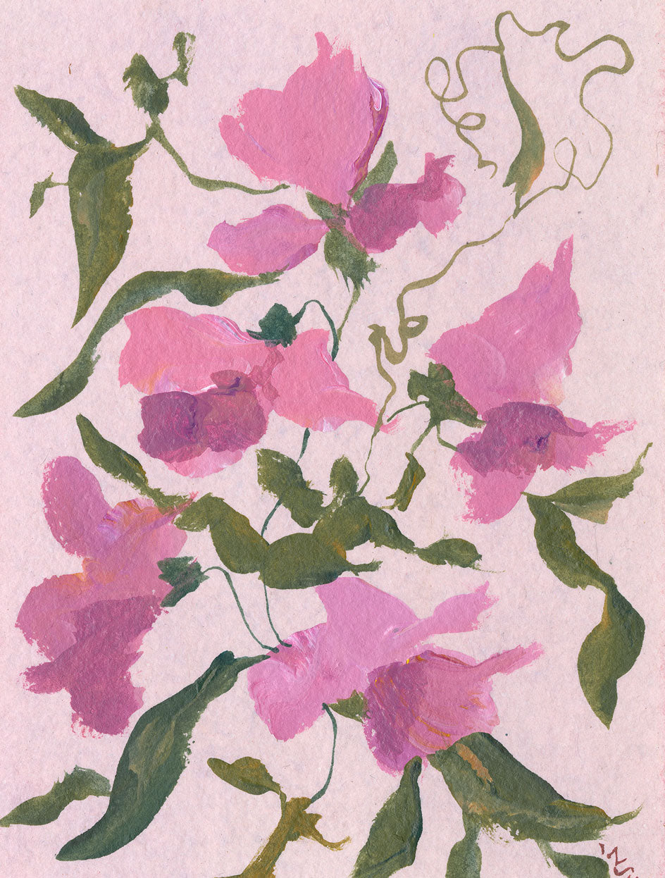 April's Sweet Pea No. 1