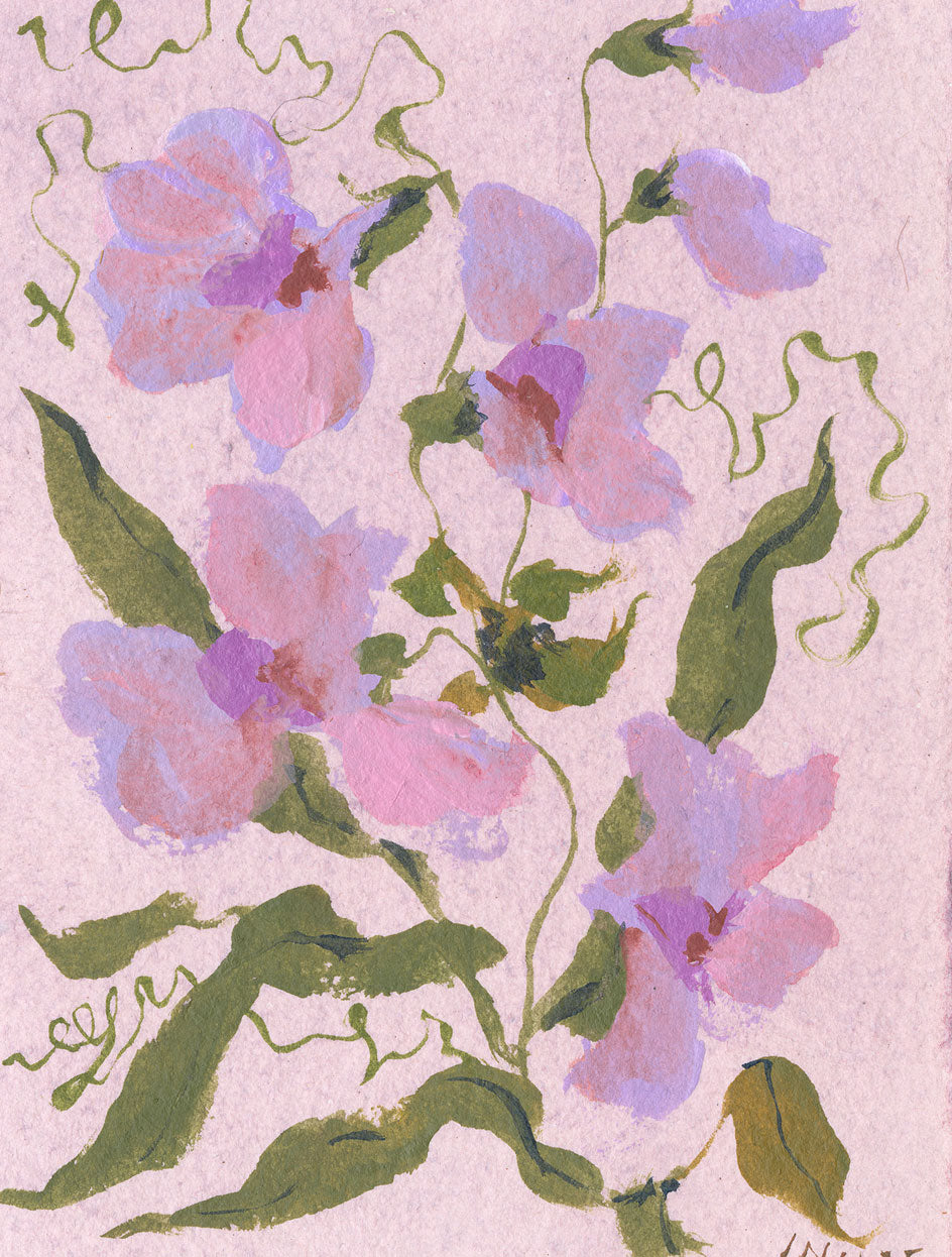 April's Sweet Pea No. 12