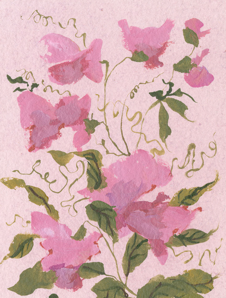 April's Sweet Pea No. 13
