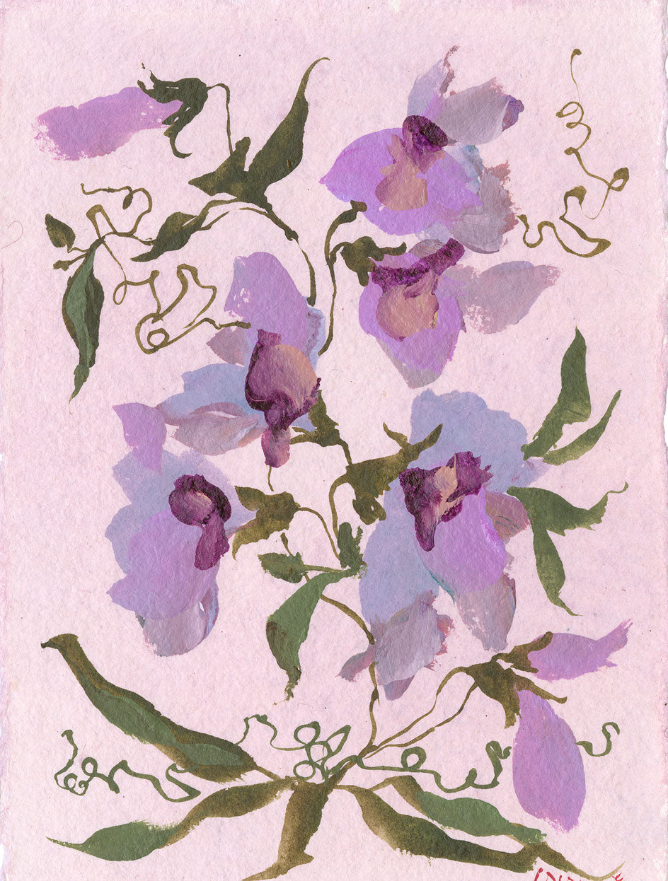 April's Sweet Pea No. 4