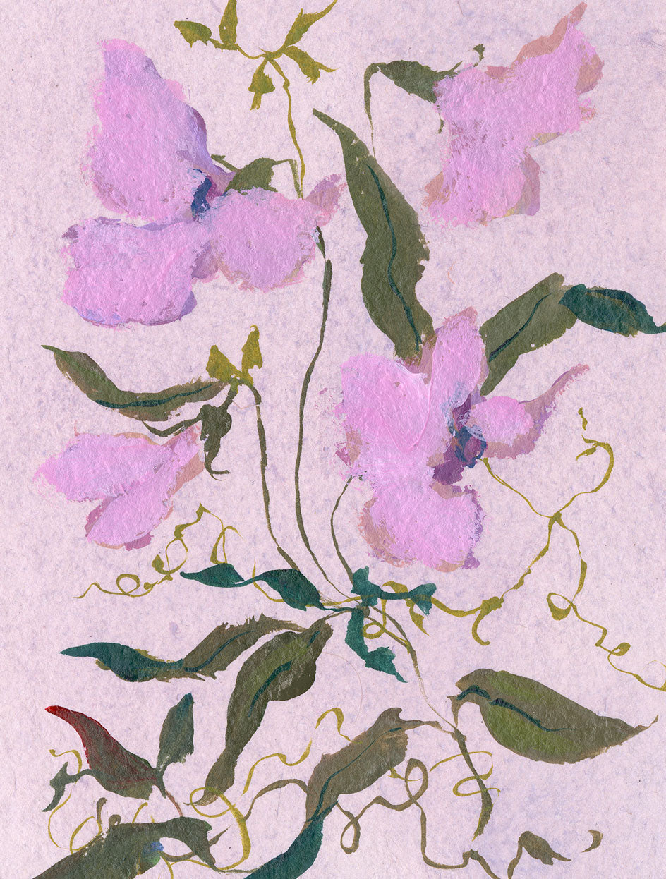 April's Sweet Pea No. 6