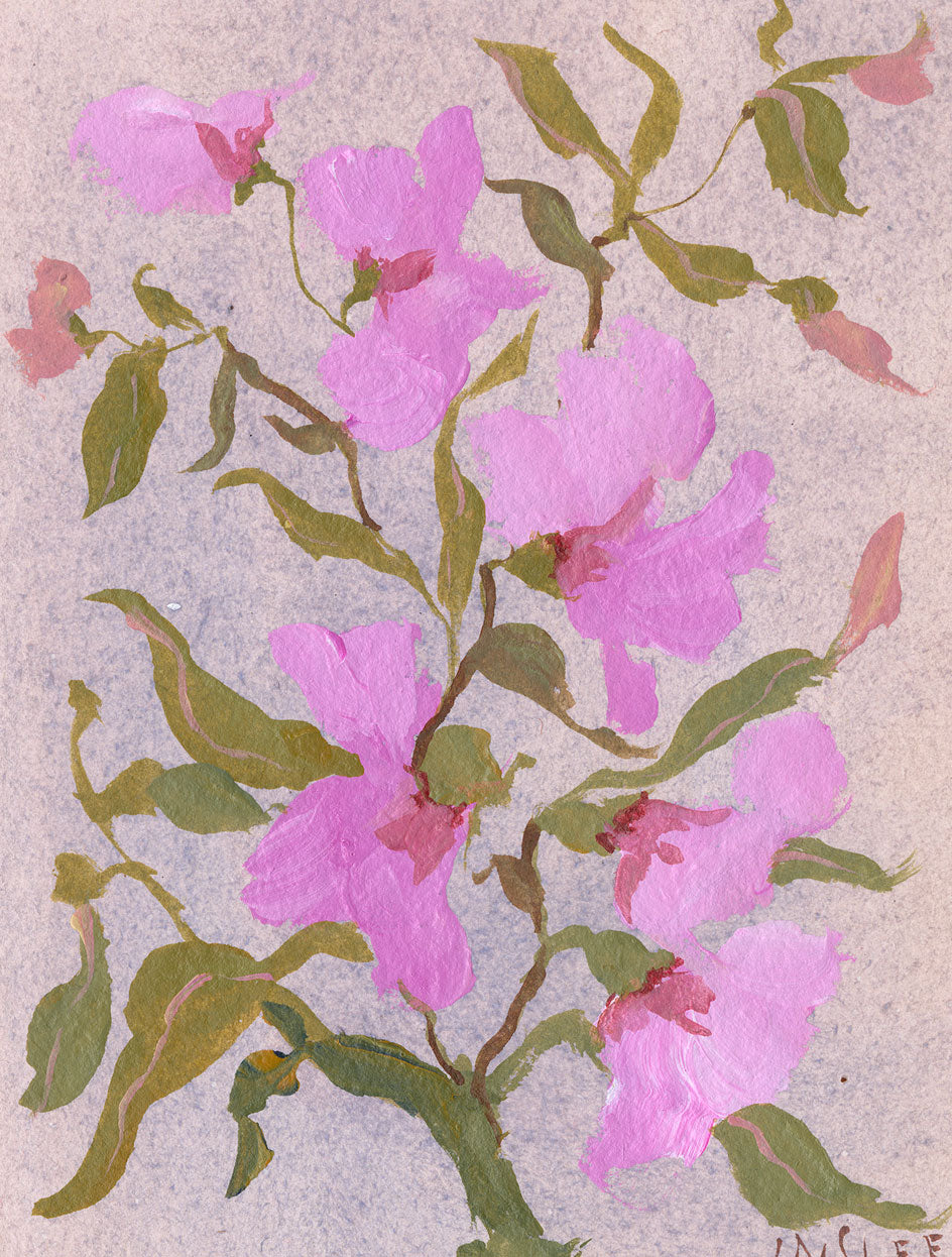 April's Sweet Pea No. 7