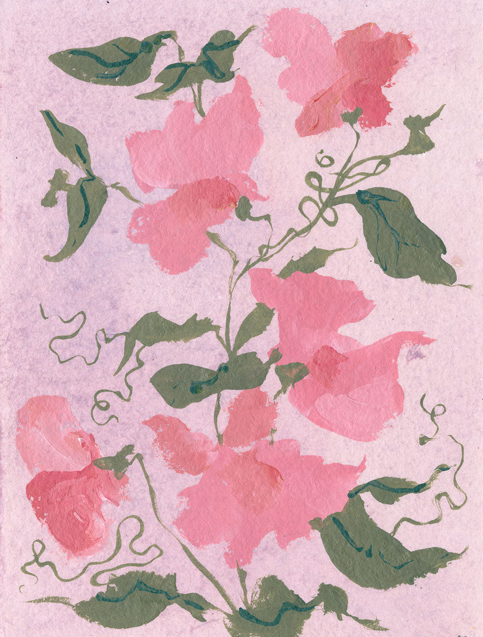 April's Sweet Pea No. 8