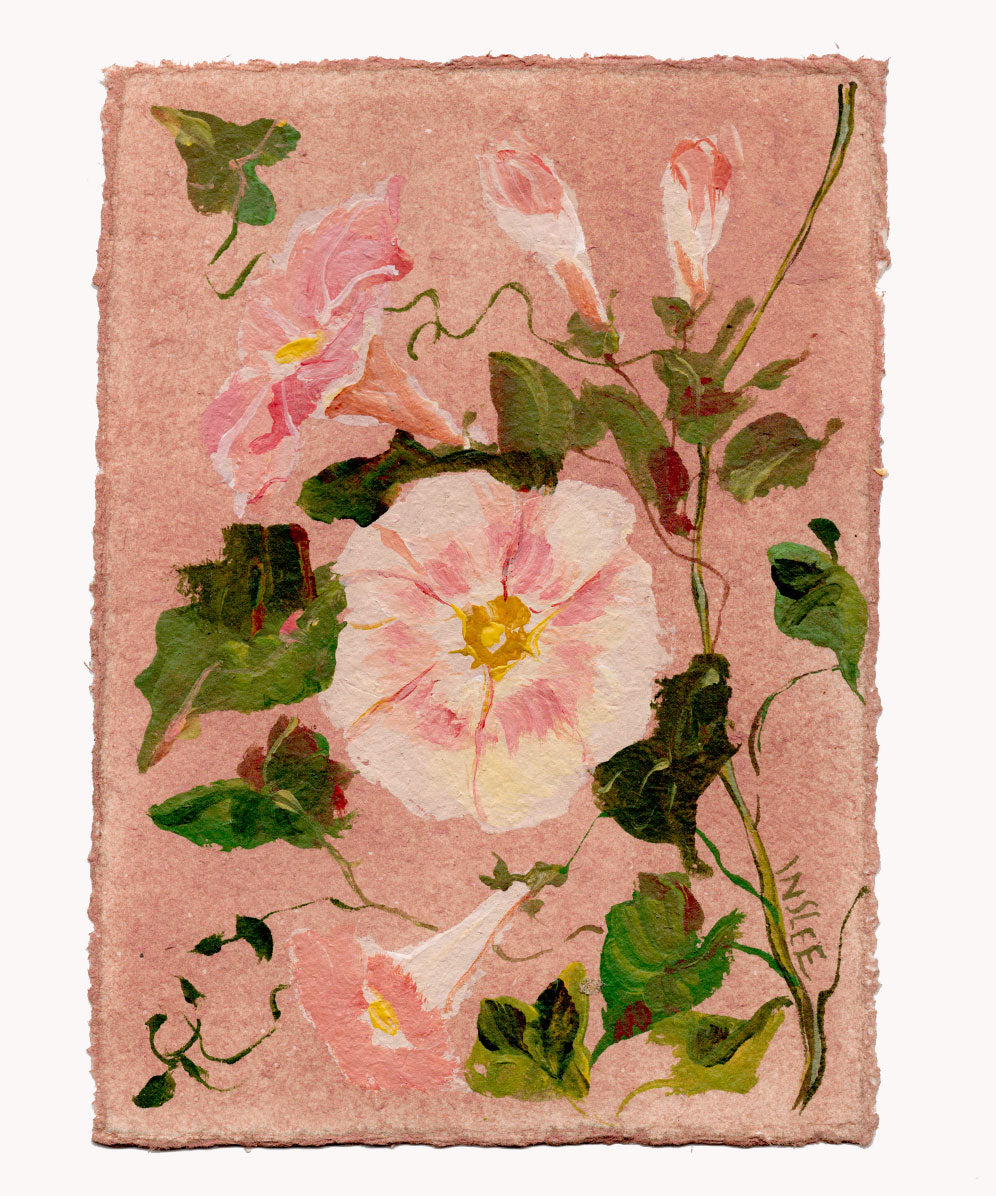 September's Morning Glory No. 10