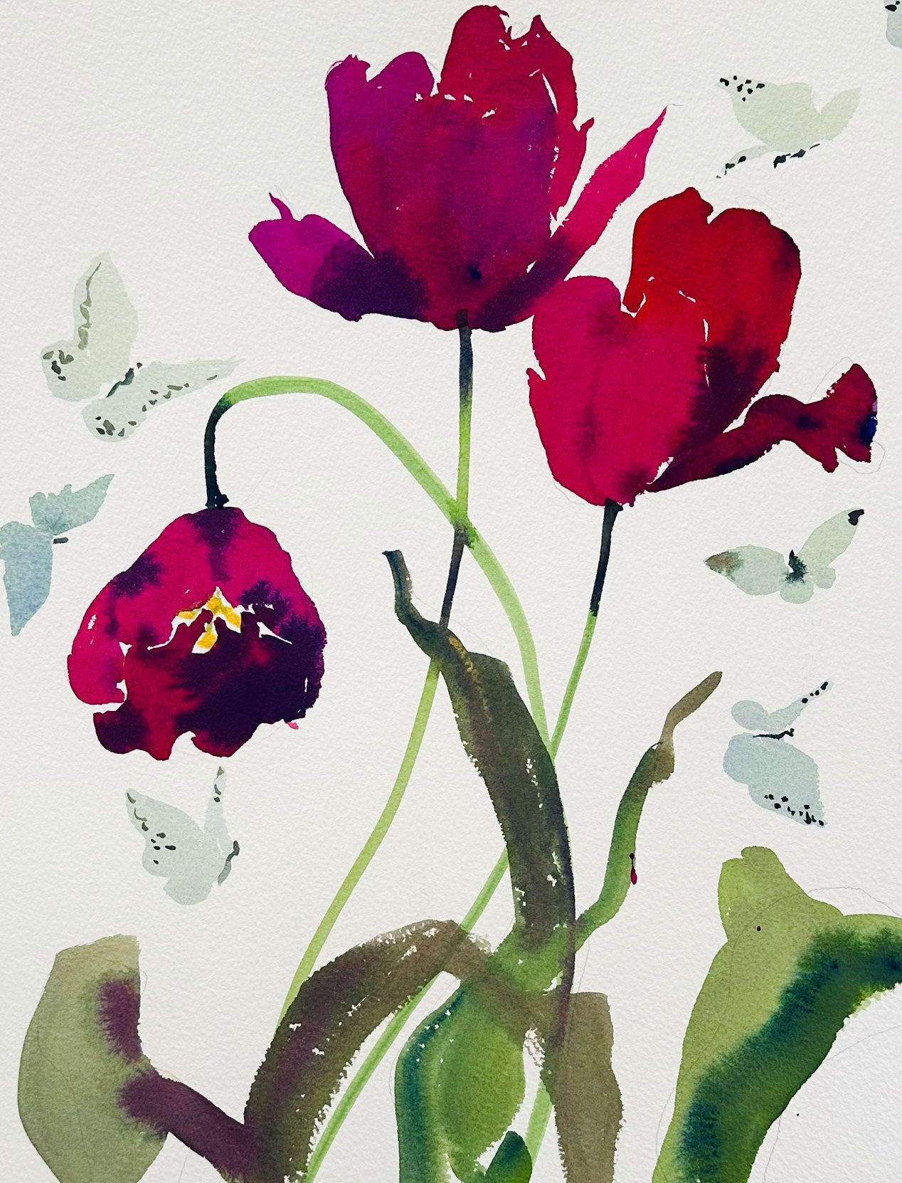 Tulip Riot No. 5