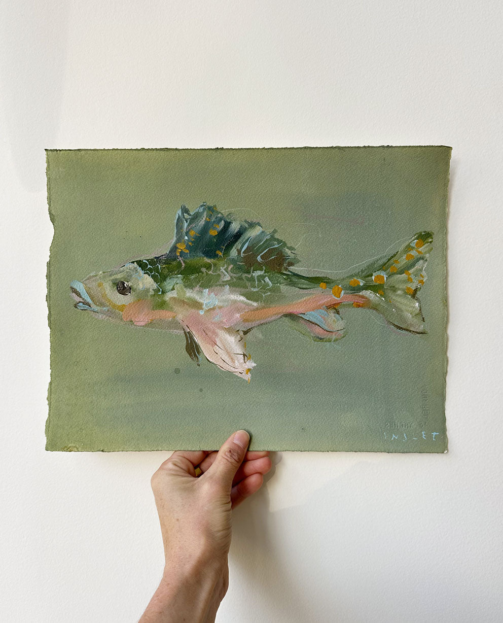 Brook Trout