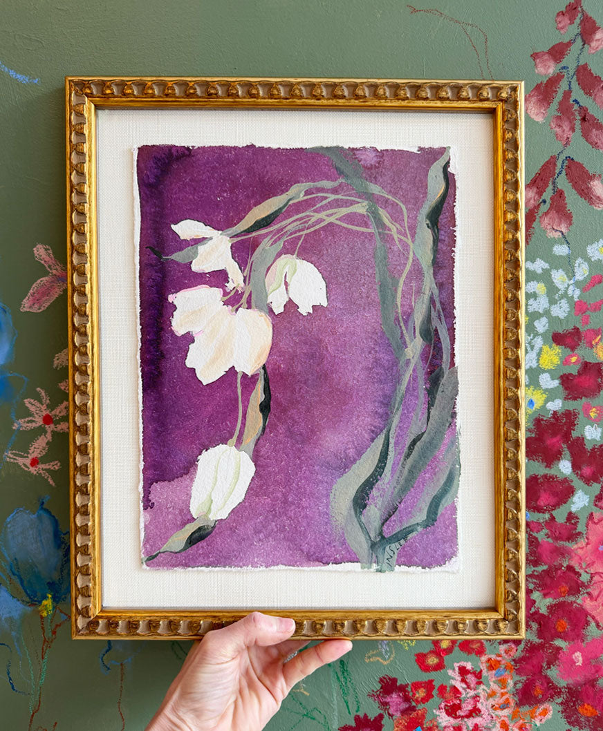 Botanique Blanc, Tulip