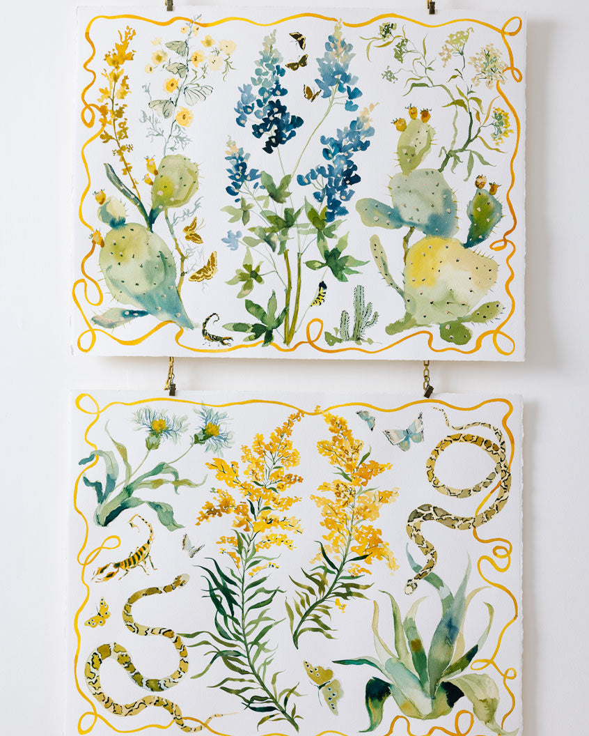 Bluebonnet & Cacti