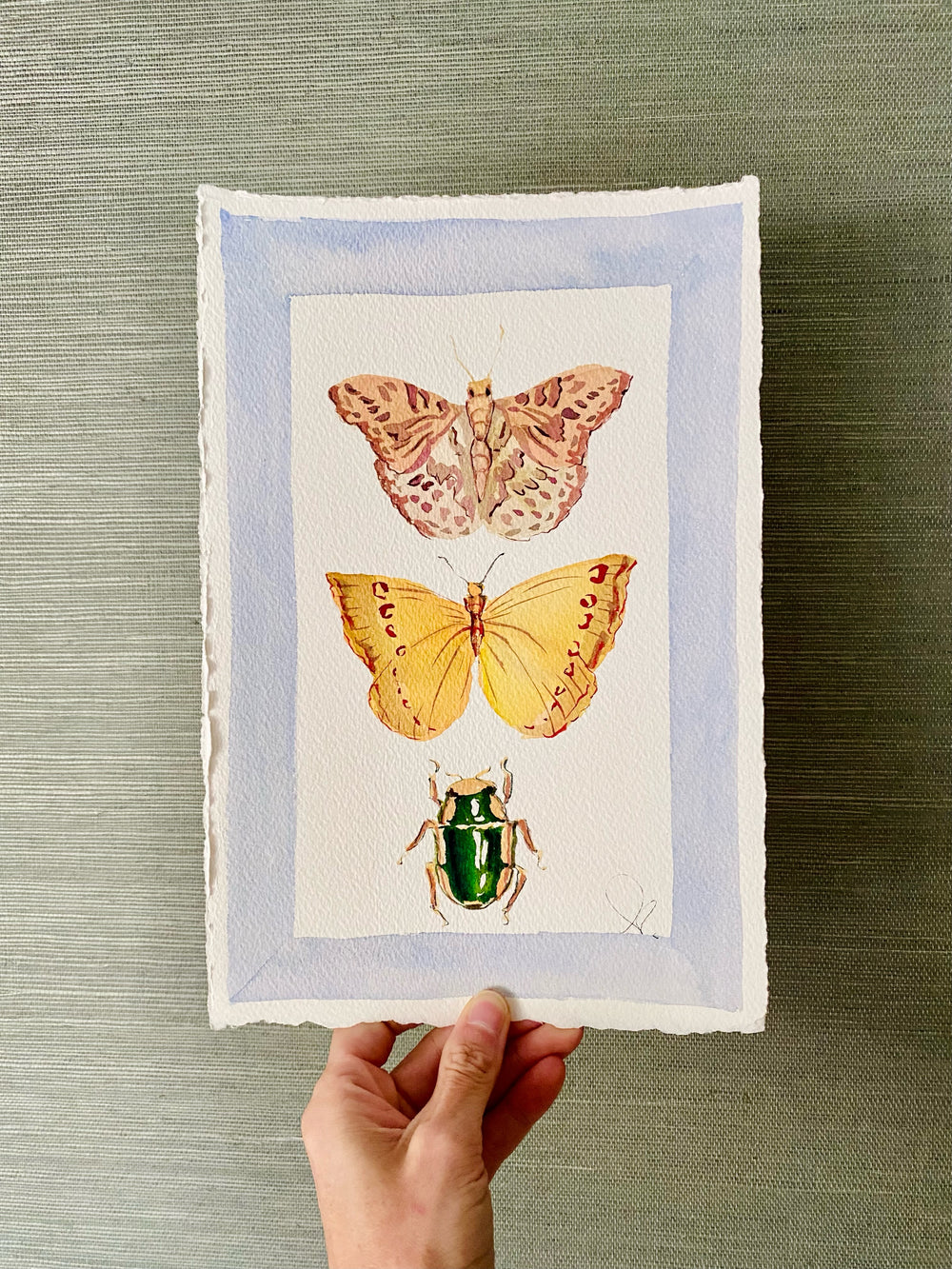 Flutter Bug