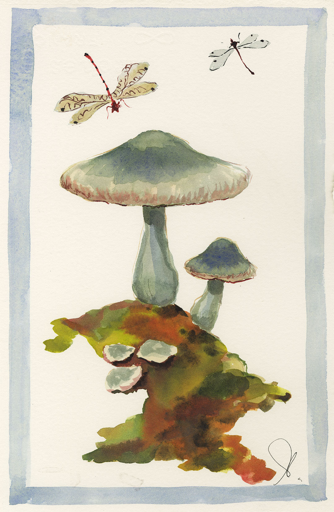 Blue Mushrooms and Dragonfly