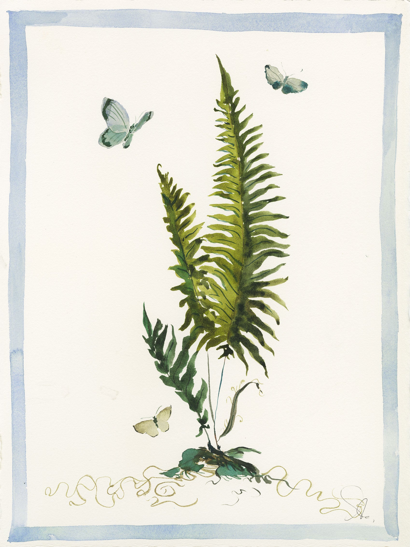 Fern and Blue Flutters