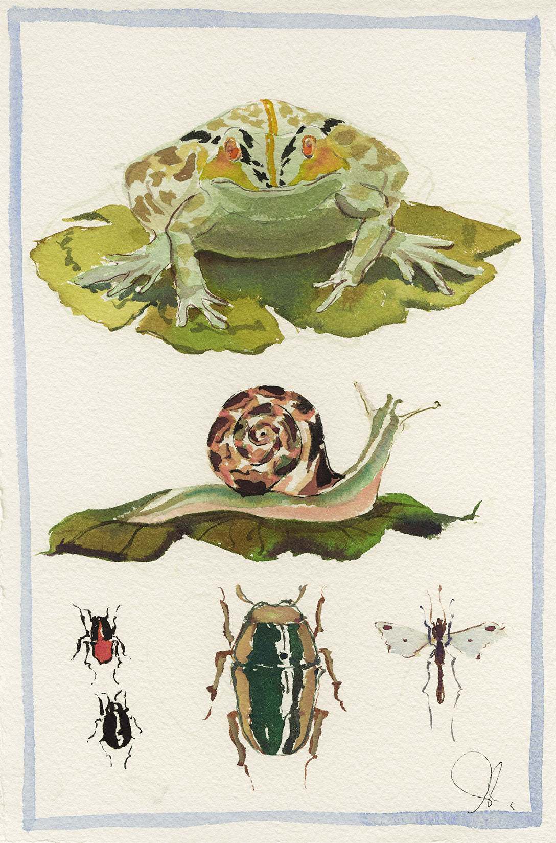 Toad on a Lily Pad and Friends